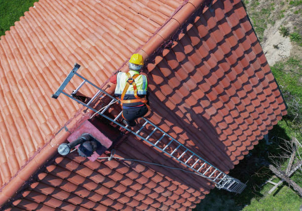 Best Roof Maintenance and Cleaning  in Avondale Estates, GA